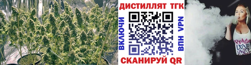 Купить где  Котельнич  Дистиллят ТГК жижа 